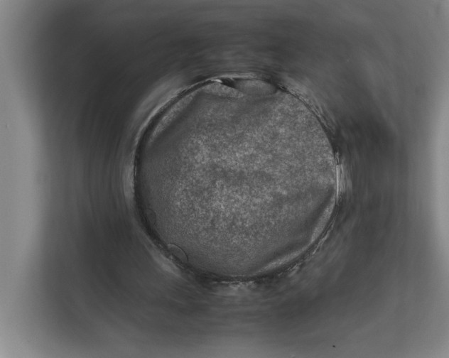 X0000112410243200909041402