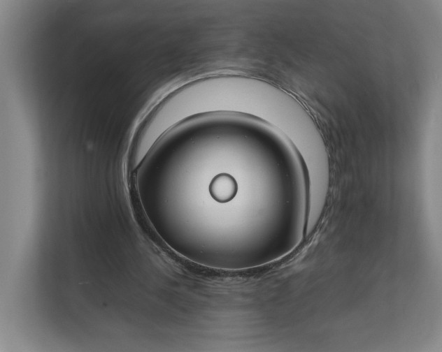 X0000112410244200909041402