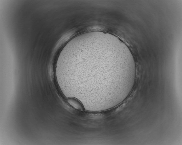 X0000112410245200909041402