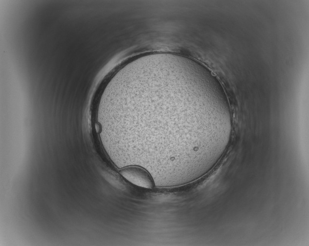 X0000112410246200909041402