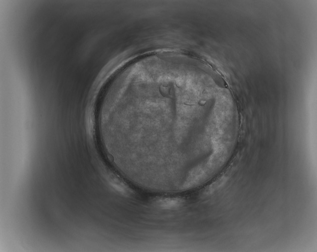 X0000112410247200909041402