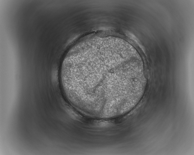 X0000112410249200909041402