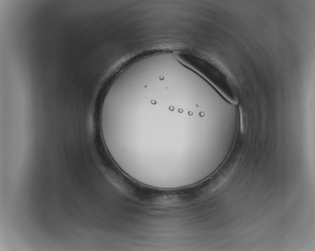 X0000112410252200909041402