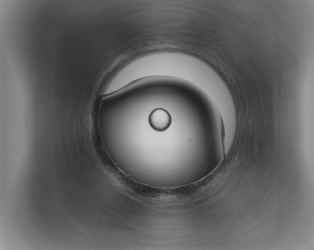 X0000112410256200909041402