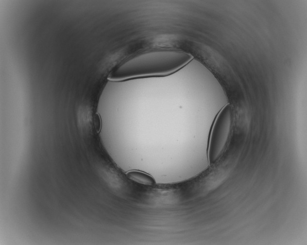 X0000112410260200909041402