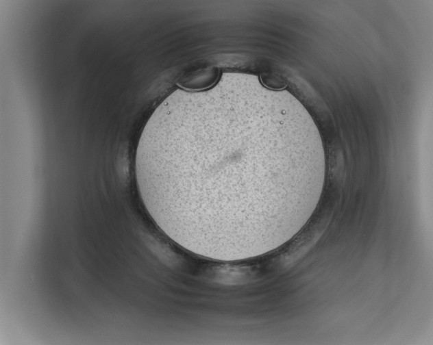 X0000112410261200909041402