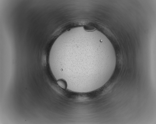 X0000112410262200909041402