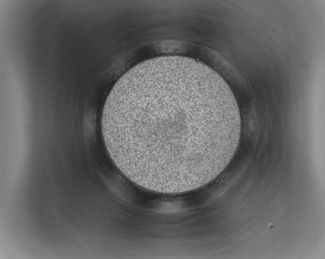 X0000112410263200909041402