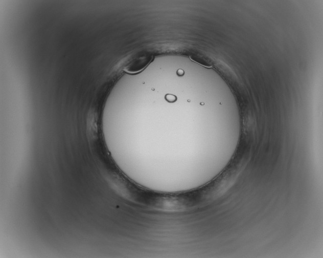 X0000112410264200909041402