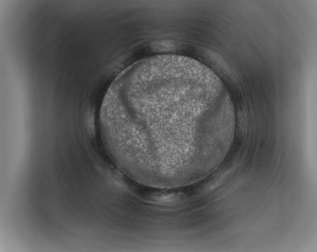 X0000112410267200909041402