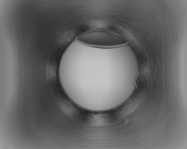 X0000112410268200909041402