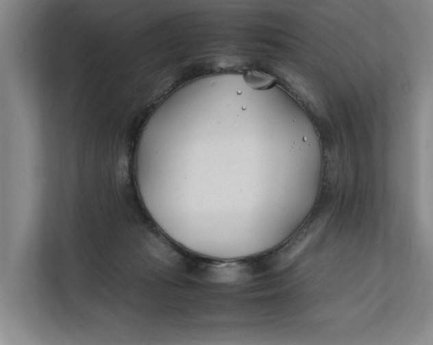 X0000112410269200909041402