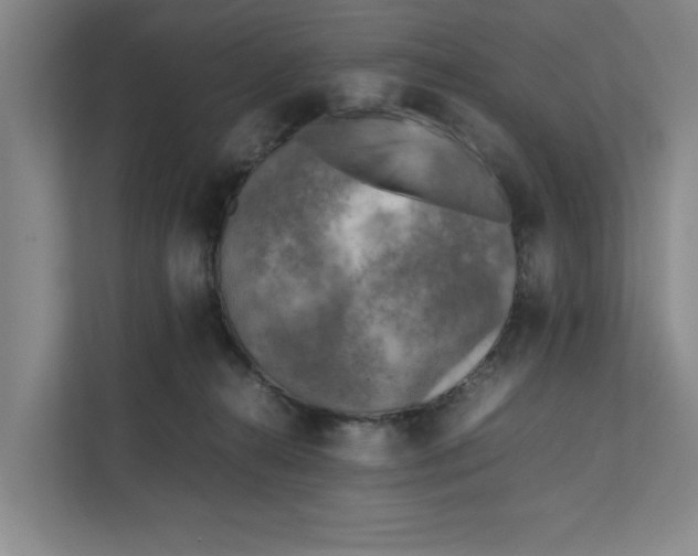 X0000112410272200909041402