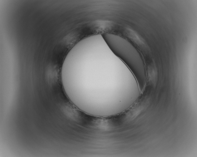 X0000112410276200909041402