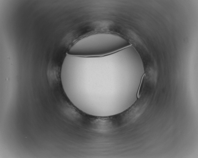 X0000112410280200909041402