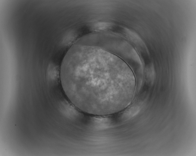 X0000112410284200909041402