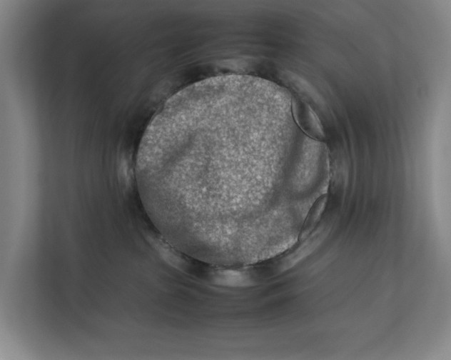 X0000112410285200909041402