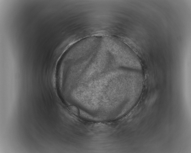 X0000112410290200909041402