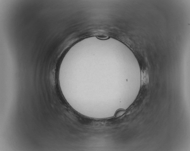 X0000112410291200909041402