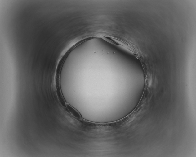 X0000112410292200909041402