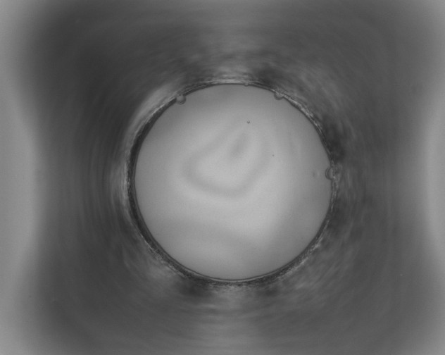 X0000112410293200909041402