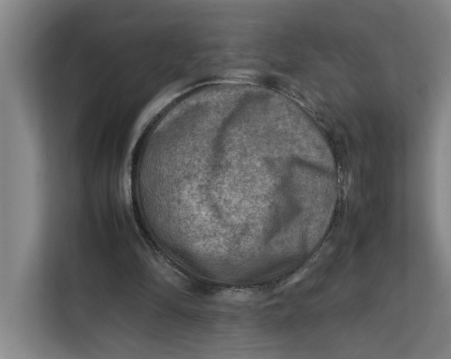 X0000112410294200909041402