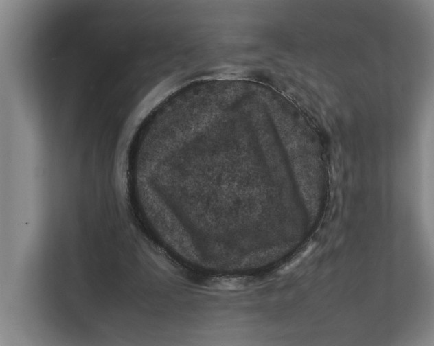 X0000112410295200909041402