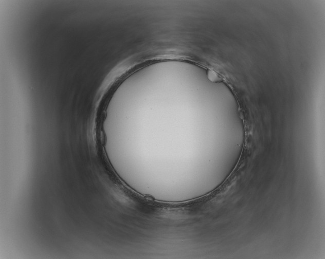 X0000112410296200909041402