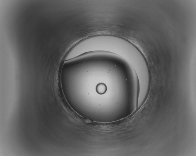 X0000112410297200909041402