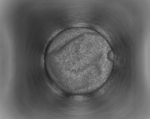 X0000112410298200909041402