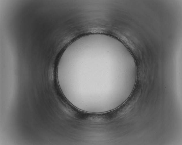 X0000112410299200909041402