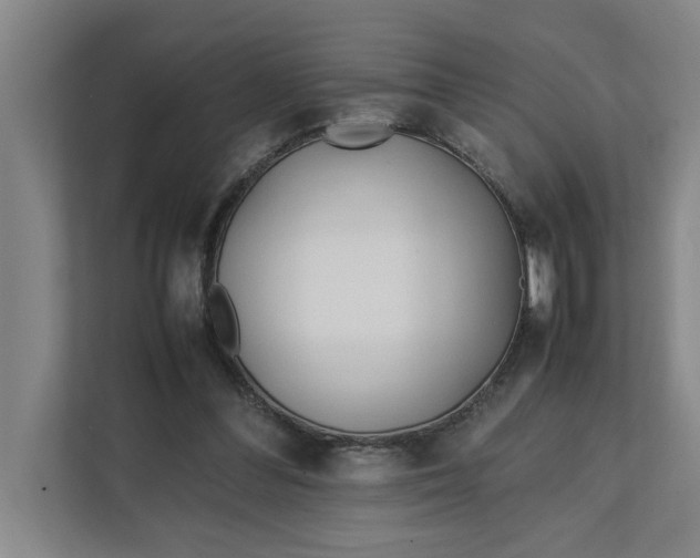 X0000112410300200909041402