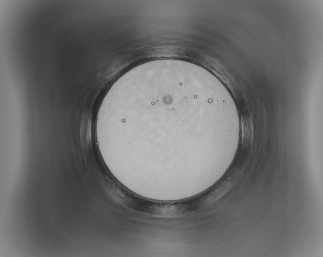 X0000112410301200909041402