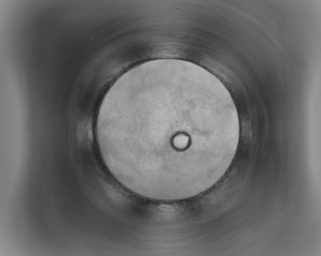 X0000112410302200909041402