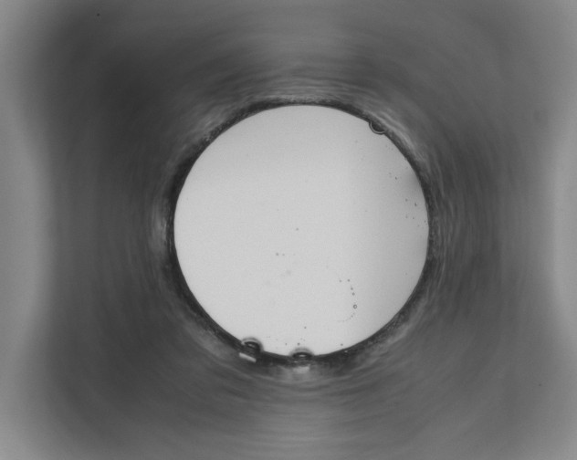 X0000112410309200909041402