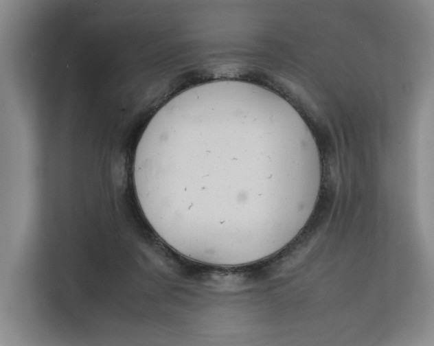 X0000112410311200909041401