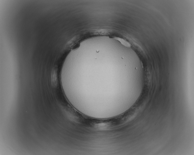 X0000112410312200909041401