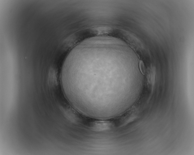 X0000112410316200909041401