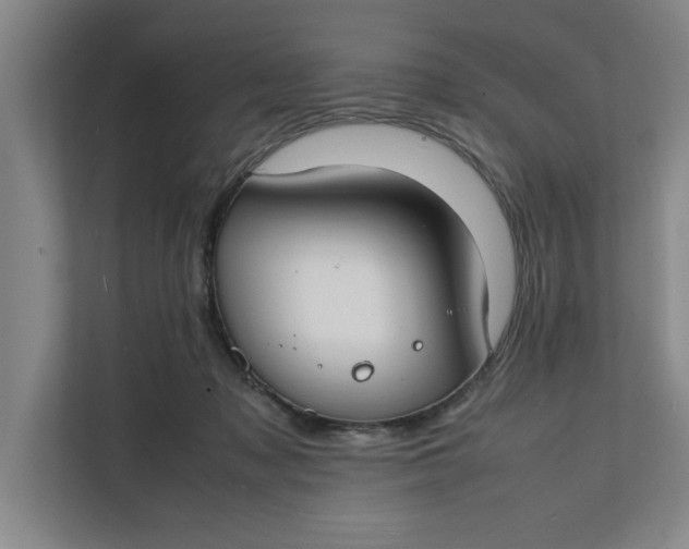 X0000112410317200909041401