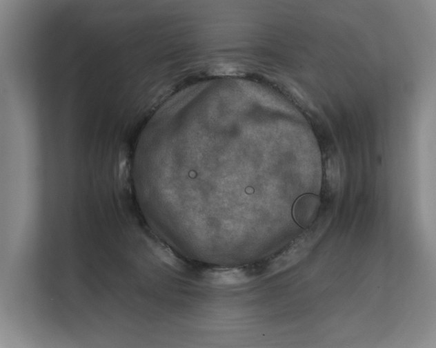 X0000112410322200909041401