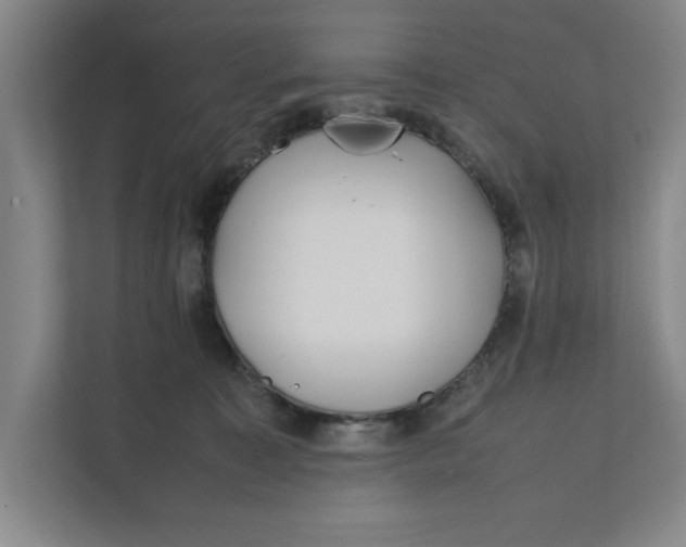 X0000112410323200909041401