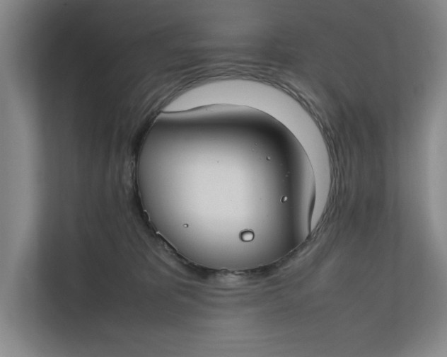 X0000112410325200909041401