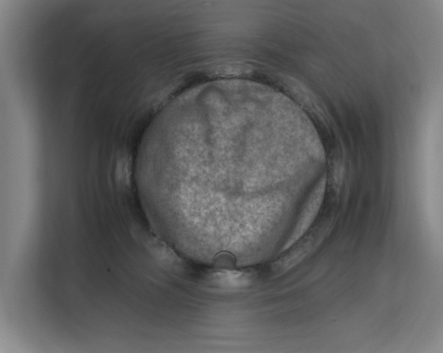 X0000112410326200909041401