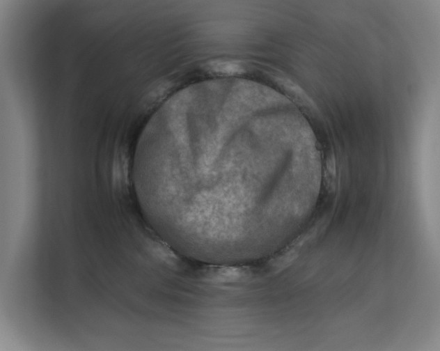 X0000112410330200909041401