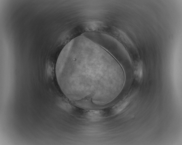 X0000112410332200909041401