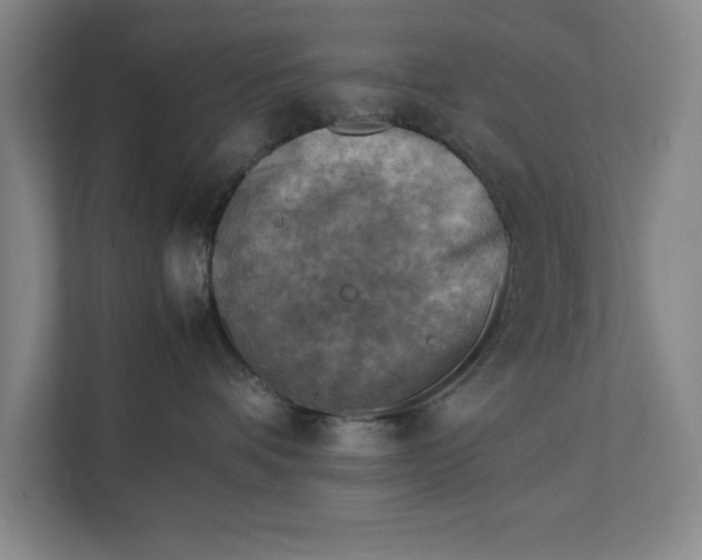 X0000112410336200909041401