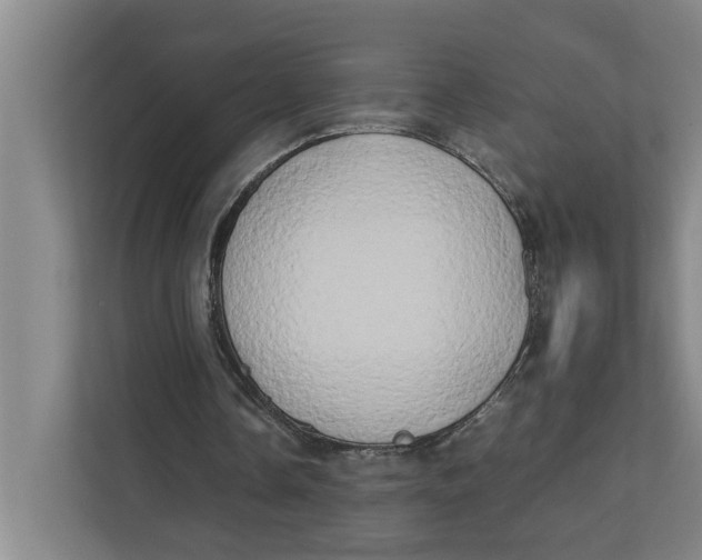 X0000112410338200909041400