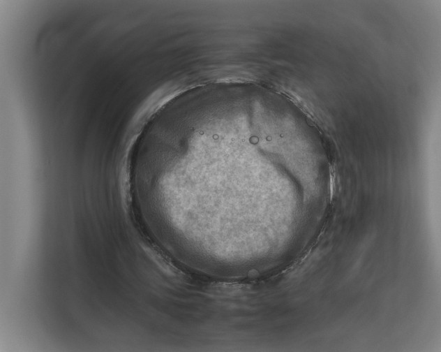 X0000112410339200909041400