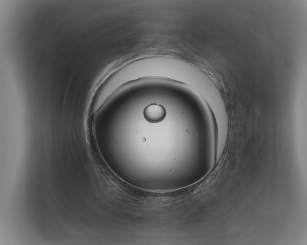 X0000112410340200909041400