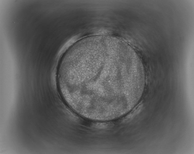 X0000112410341200909041400